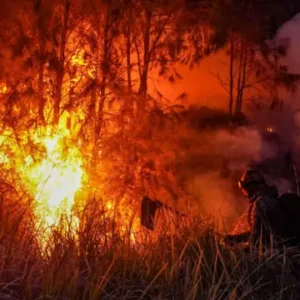 DPR Dukung Penegakan Hukum Karhutla, 72 Orang Jadi Tersangka
