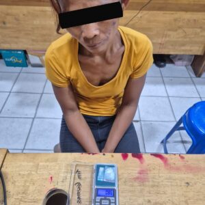 Polrestabes Medan Ringkus IRT Pengedar Narkoba di Lembah Sunggal