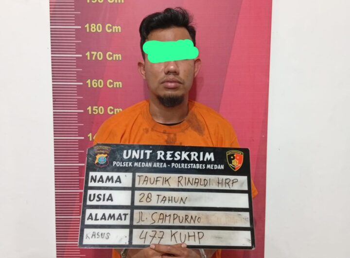 Spesialis Maling Spion Mobil Diringkus Polsek Medan Area