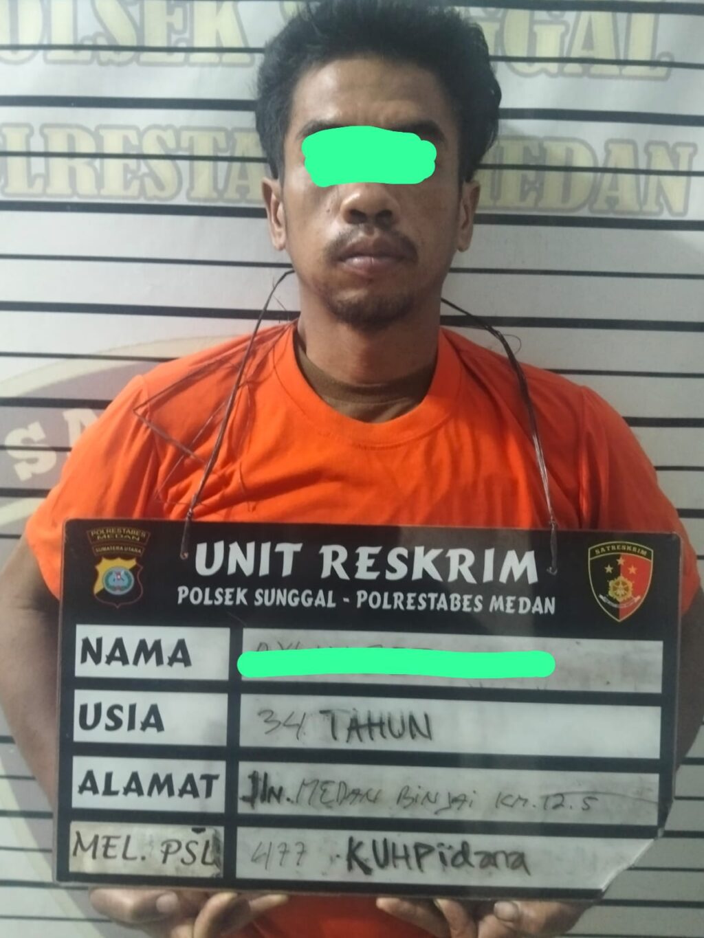 Polisi Tangkap Maling Sawit di Perkebunan Sei Semayang