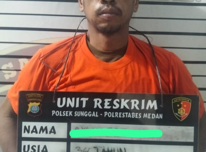 Polisi Tangkap Maling Sawit di Perkebunan Sei Semayang