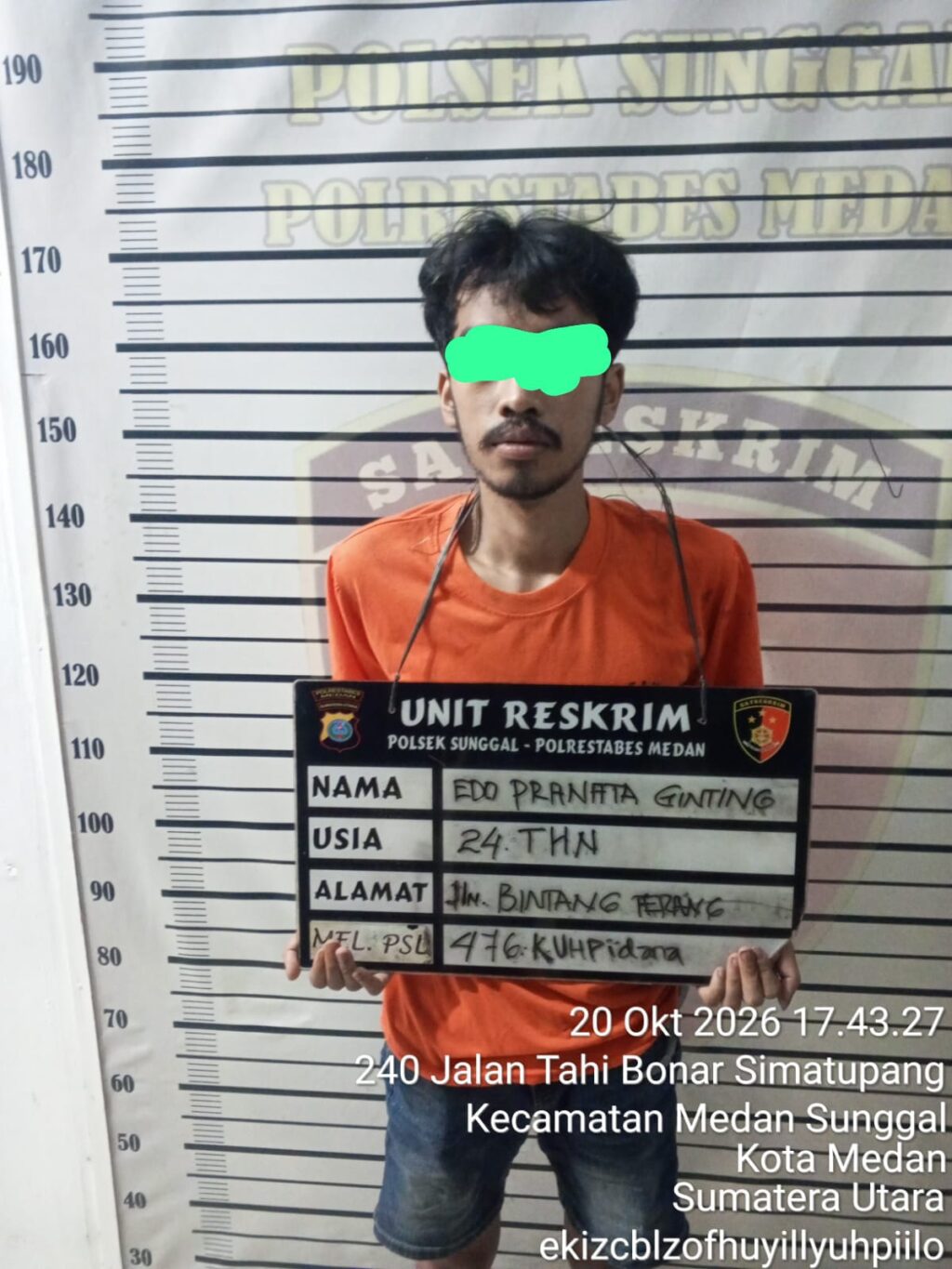 Pria ini Apes Tertangkap Tangan Maling Sawit Kebun PTPN IV, Temannya Kabur