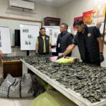 Gerebek Gudang di Deli Serdang,  Disita 3 Kg Sabu, 10.000 Ekstasi dan 1.778 Vape Narkoba, Polisi Kejar Bandar Malaysia