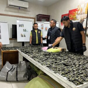 Gerebek Gudang di Deli Serdang,  Disita 3 Kg Sabu, 10.000 Ekstasi dan 1.778 Vape Narkoba, Polisi Kejar Bandar Malaysia